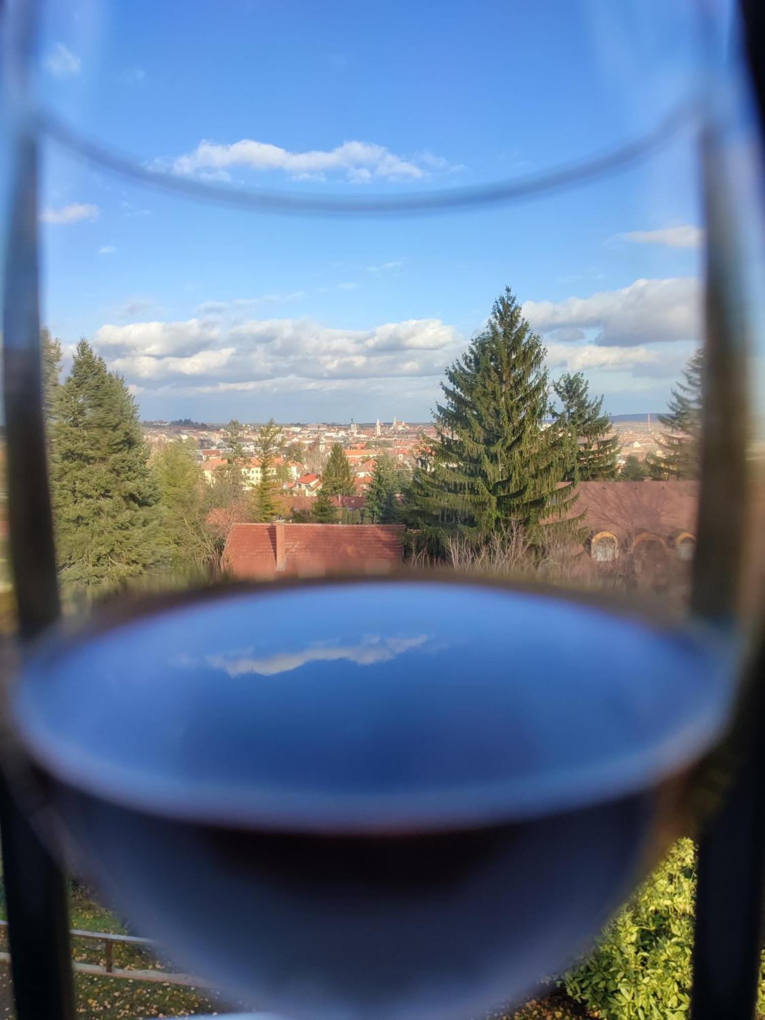 Villa Mimi Шопрон Экстерьер фото